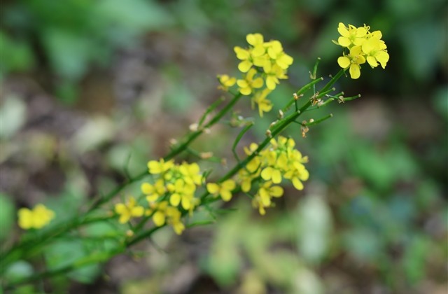 女生野性浪荡网名(精选284个)