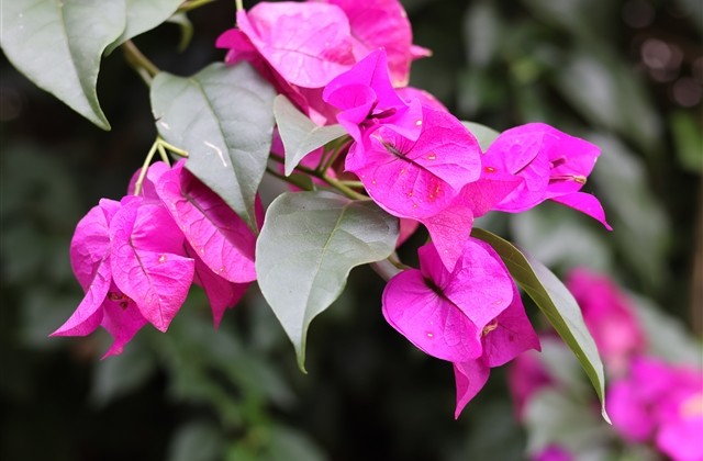 女生野性浪荡网名(精选284个)