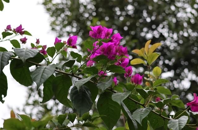 微信个性签名语录(推荐64句)