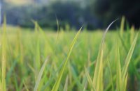 ​好闺蜜qq网名(精选163个)