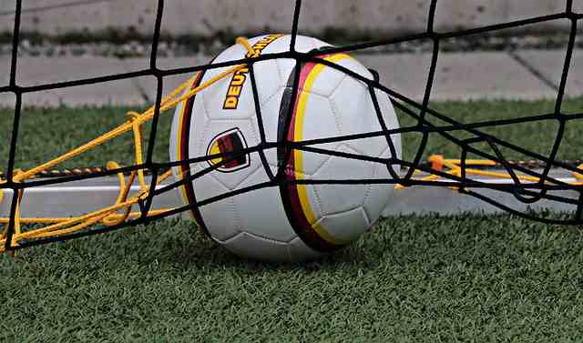 心情语录2024心情随笔（优选86句）