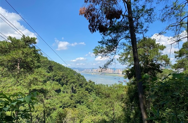 古风帮派名字大全(306个)