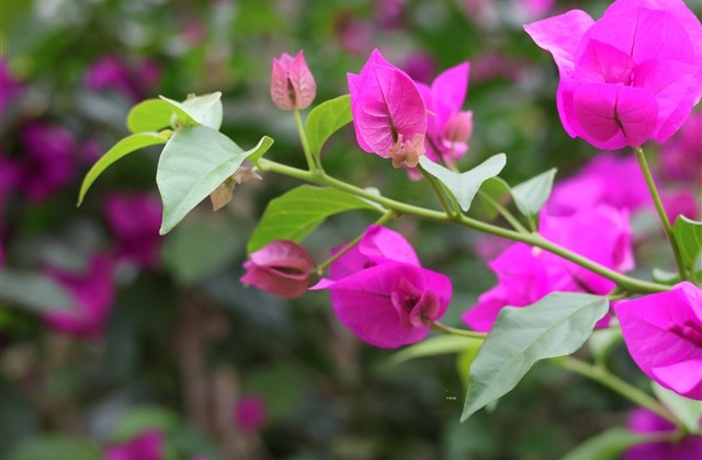 最有内涵的情侣网名(共150个)