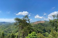 ​2023最火00后微信网名(精选259个)