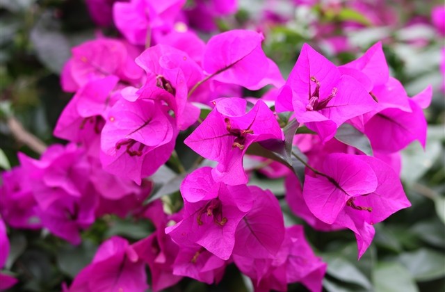 关于烟火的微信名字(精选253个)