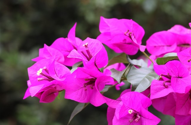 最新可爱qq网名(464个)