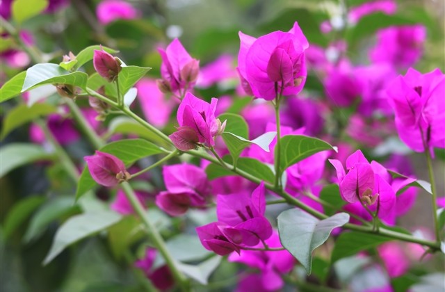 男生网名文艺干净(优选264个)