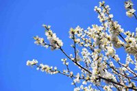 ​心情抑郁的简短句子（精选81句）