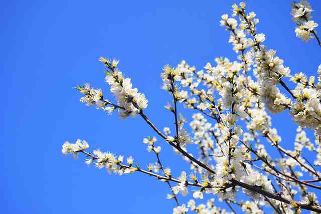 心情抑郁的简短句子（精选81句）