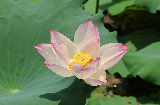 不那么非主流的名字(214个)