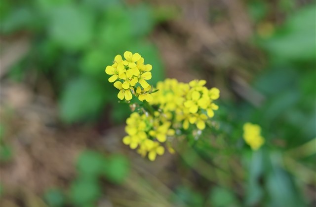 个性有财气的软件公司名字(精选192个)