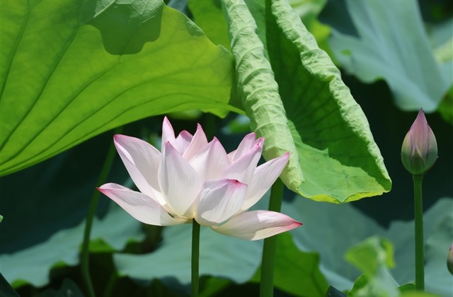 心情极度不好的微信名(共237个)