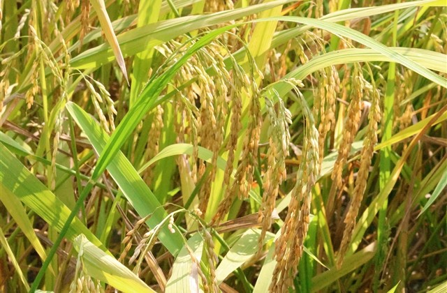 男士网名稳重内涵二字(328个)