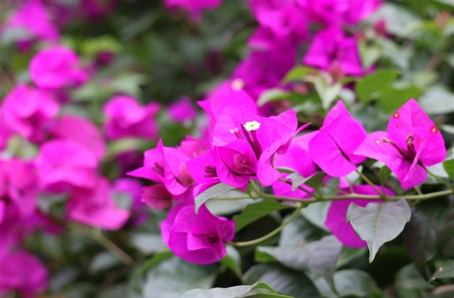 守望先锋好听的游戏名字(245个)