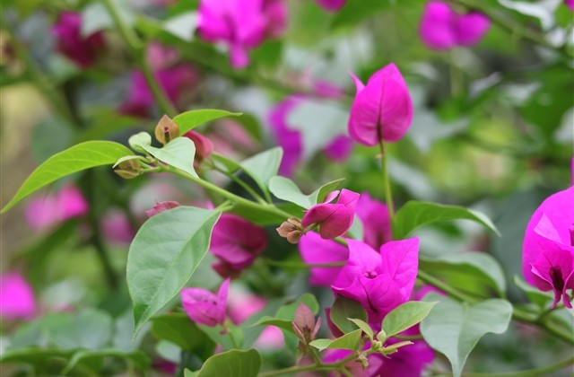 男生超酷独一无二的快手网名(优选122个)