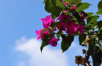 ​吃鸡七个字有内涵游戏名字