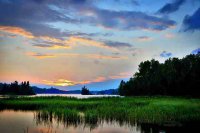 ​好久不见的情感语录