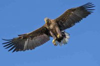 ​伤感的签名说说心情65句