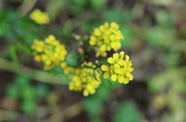 lol笑死人的名字 一见到就笑的游戏名字精选(81个)