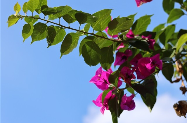 2023繁体字网名大全(精选99个)