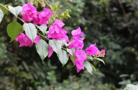 ​游戏lol搞笑id推荐(95个)