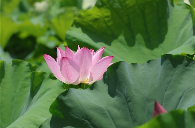 好听高雅又聚财的网名2023最新(精选90个)