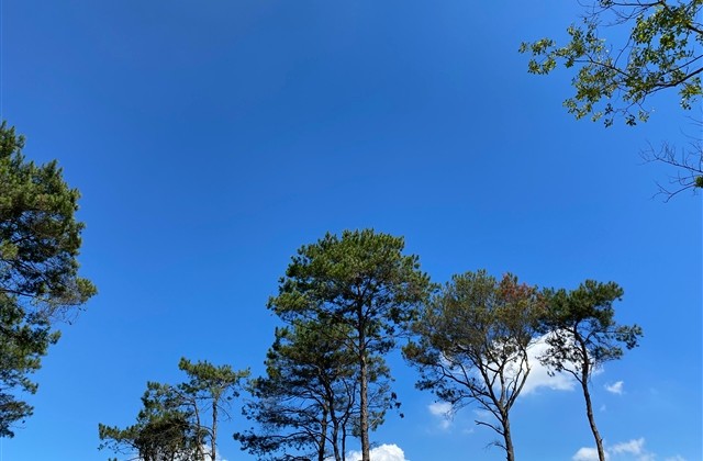 CF个性好听的战队名字(共74个)