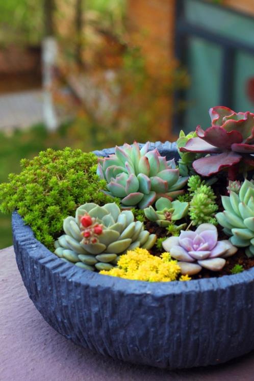 生活不如意的句子说说心情