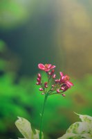 ​幽默个性说说心情短语(个性心情说说大全)