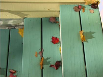 表达心情很好的句子