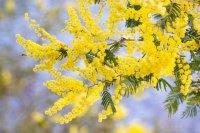 ​皮一点又蛮可爱的网名大全