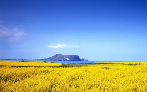 微信朋友圈心情句子