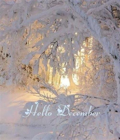 感恩经典说说心情短语