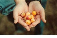 ​打动女孩子的真心话（伤感句子表达心情失落）