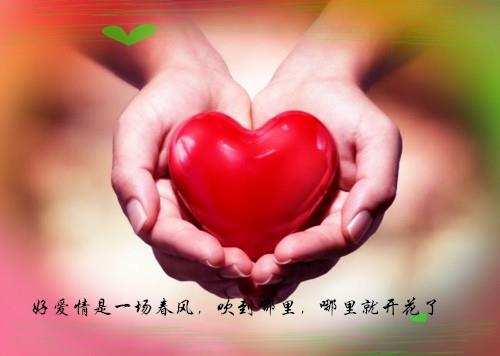 伤感句子表达心情失落