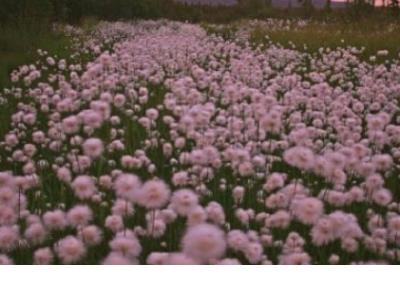 沉默的句子说说心情