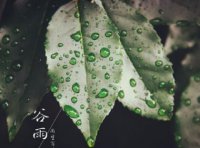 ​女生超拽霸气古风句子说说心情