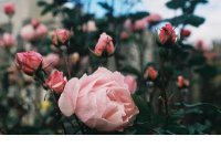 ​想念一个人的心情表达 想念的图片牵挂一个人