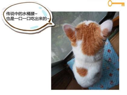 满足开心的说说心情