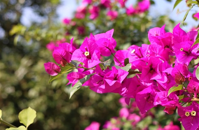 比较有内涵深意的网名(精选57个)