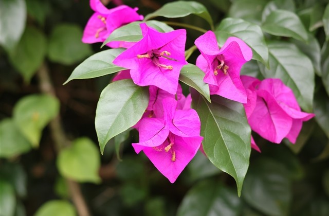 比较有内涵深意的网名(精选57个)