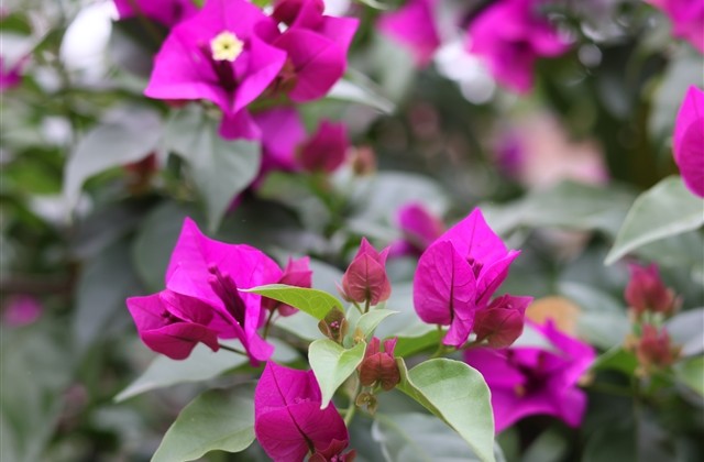 关于心累了的网名，伤感网名女生累了