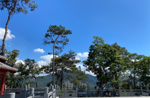 好听的阿狸和桃子的情侣网名(优选37个)