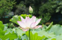 ​富有哲理的网名(62个)