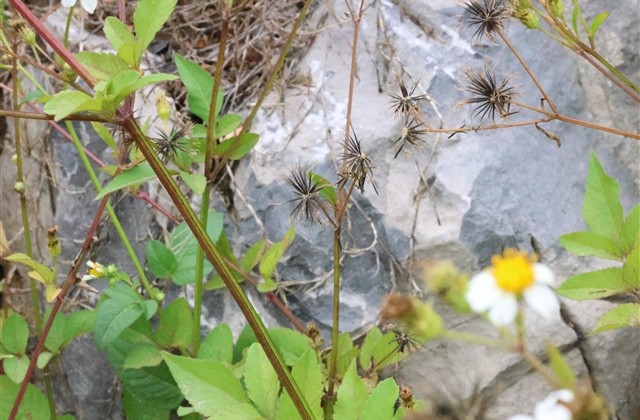 皮到容易挨揍的网名 皮到挨揍男生网名