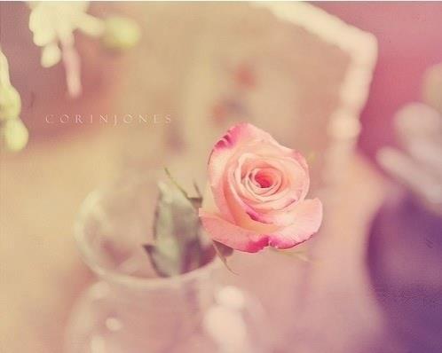 微信朋友圈心情短语