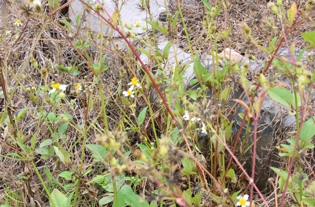 男角色游戏名字 飘逸的游戏名字男生