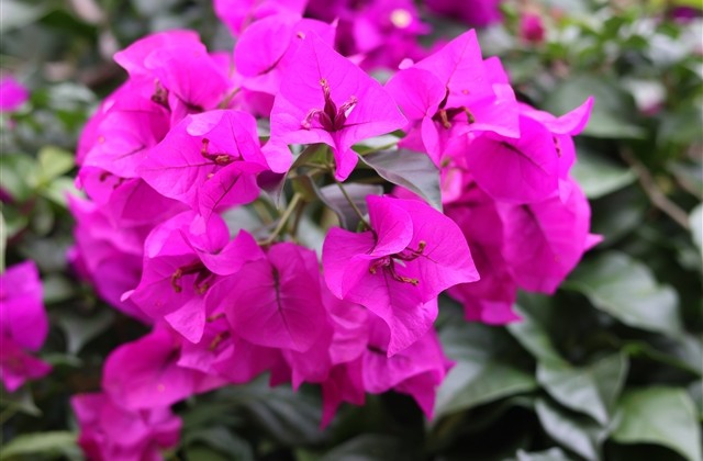 终结者2游戏昵称大全2023(共50个)