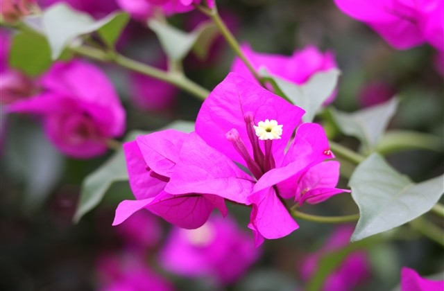 终结者2游戏昵称大全2023(共50个)