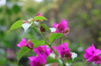 ​网易云五字名字 网易云五个字用户名